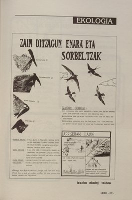 JPG fitxategia