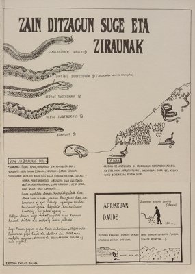 JPG fitxategia