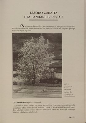 JPG fitxategia