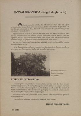 JPG fitxategia