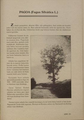 JPG fitxategia