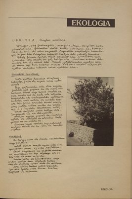 JPG fitxategia